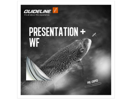 Guideline Presentation + fly line box