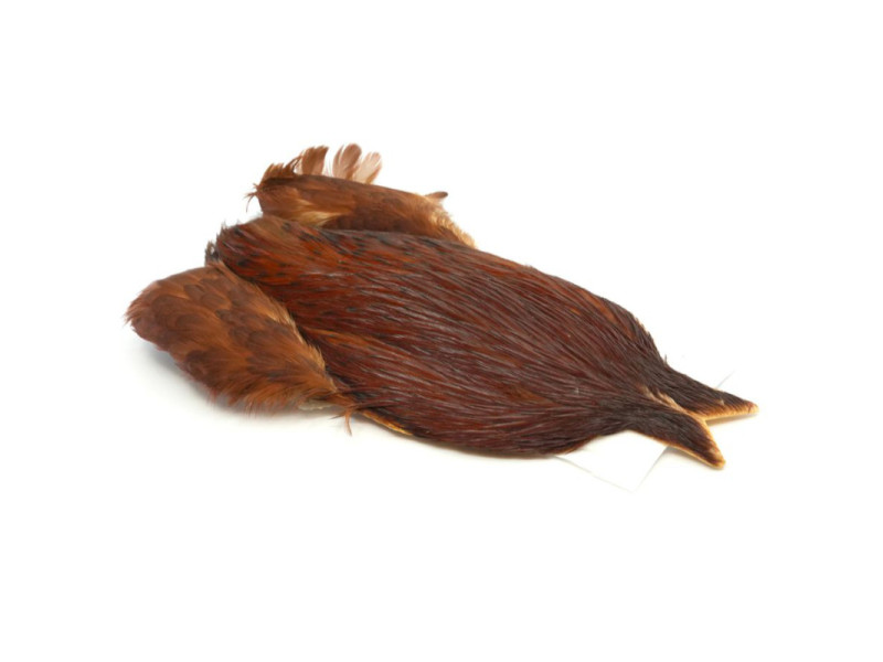 Whiting 4B Roster Cape - Brown