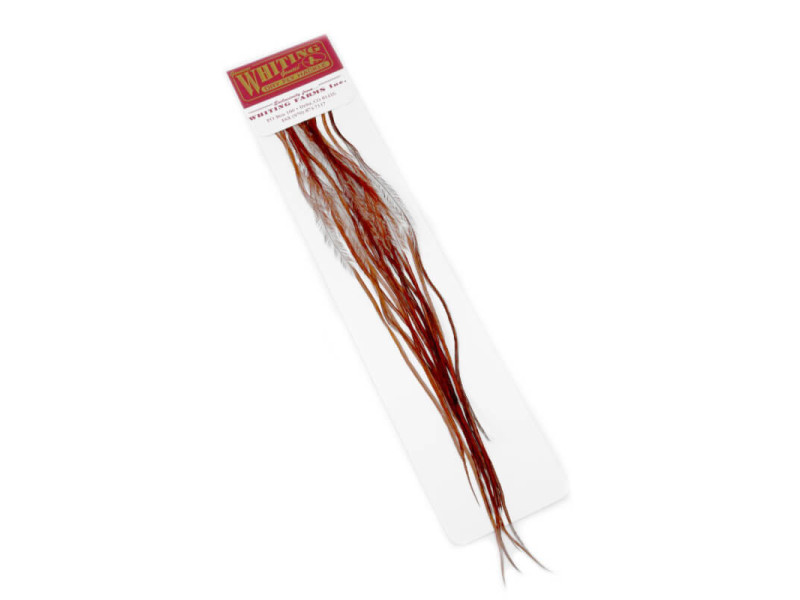 Whiting 100 pack - Brown