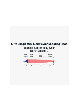 Rio Elite Skagit Mini Max Power - Taper