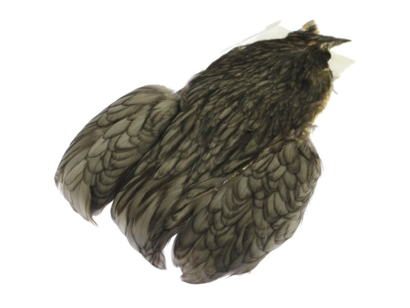 Whiting 4 B's Hen Cape - Dark Dun
