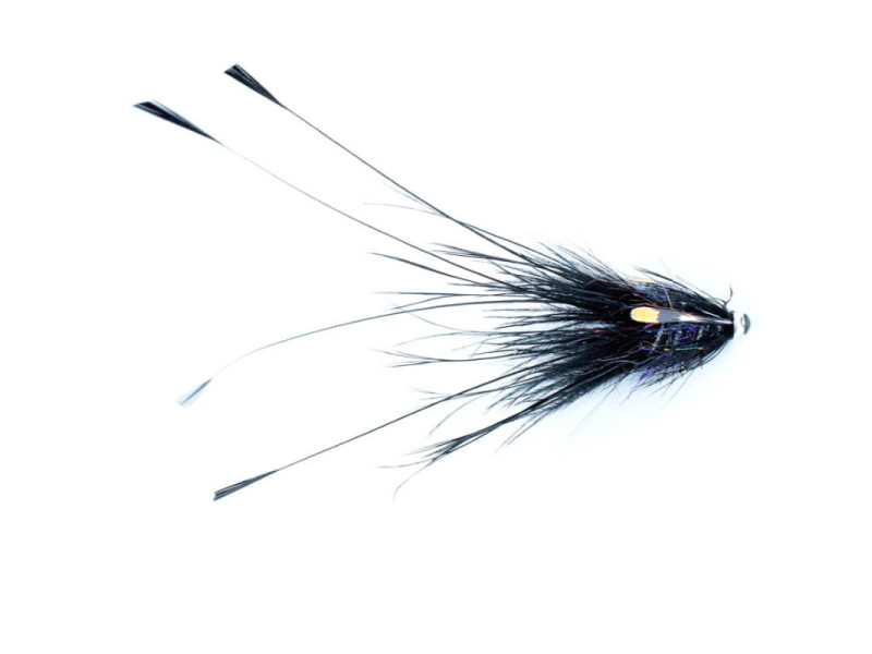 Black Pig Series