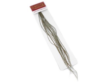 Whiting 100 pack - Grizzly dyed Dun