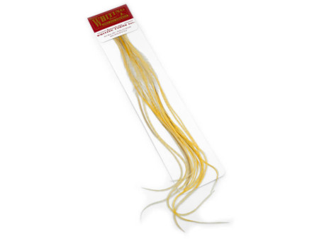 Whiting 100 pack - Light Ginger