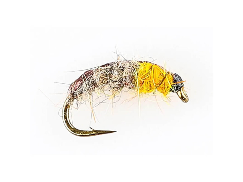 Caddis Nymph - Grey Back Yellow Head