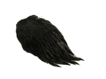 Indisk Tuppnacke - Black