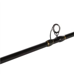 Primal Bold Rings