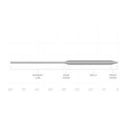 Scientific Anglers Wet Cel 2