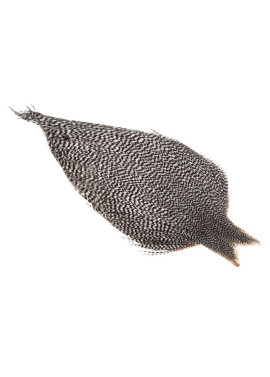 Whiting High & Dry - Grizzly