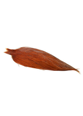Whiting High & Dry - Brown