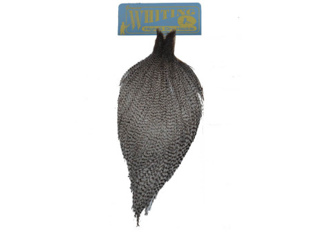Whiting High & Dry - Grizzly Dun