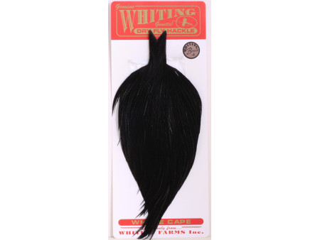 Whiting Tuppnacke Bronze - Black