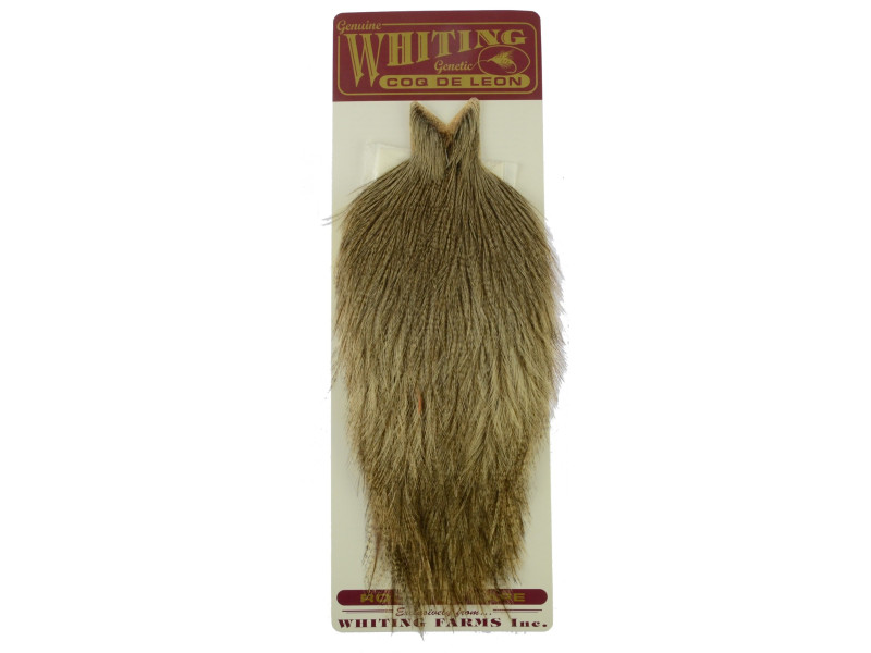 Whiting Coq de Leon