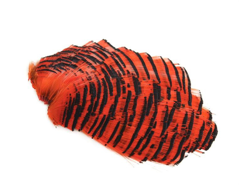 Guldfasan Nacke Tippetdelen - Hot Orange