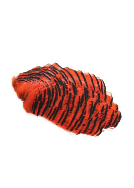 Guldfasan Nacke Tippetdelen - Hot Orange