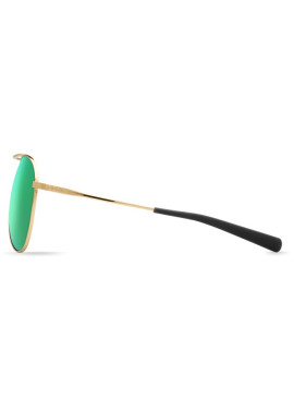 Costa Cook Brushed Palladium - Green Mirror 580P