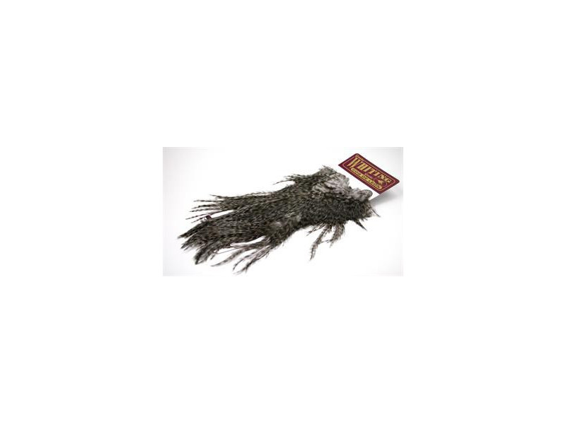 Whiting Coq De Leon Saddle
