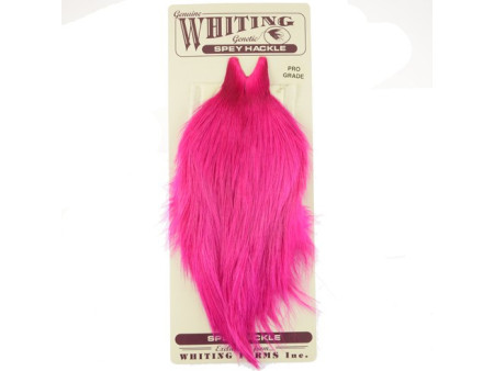 Whiting Spey Hackle Pro Grade - Magenta