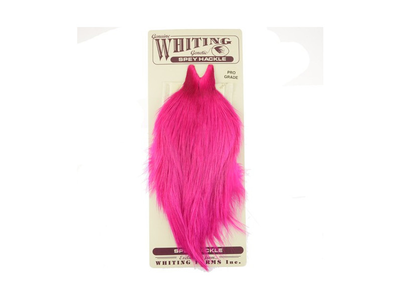 Whiting Spey Hackle Pro Grade - Magenta