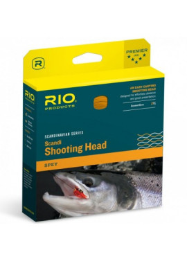 Rio Scandi VersiTip Long Body F/I