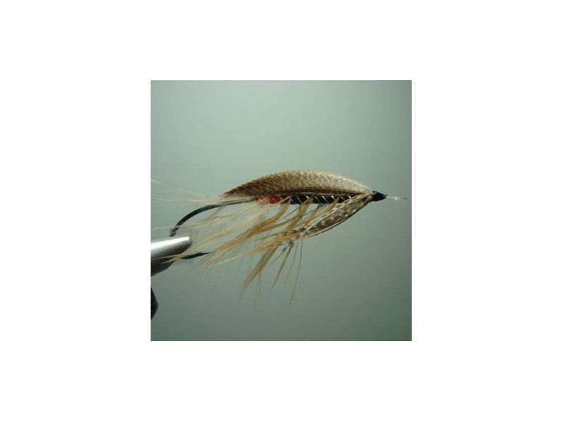 Gold Riach