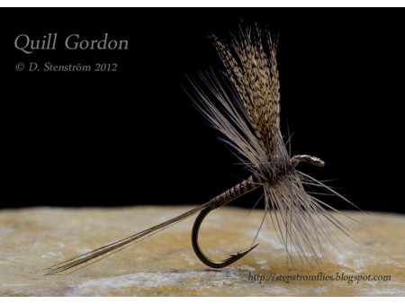 Quill Gordon