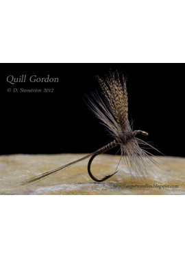 Quill Gordon