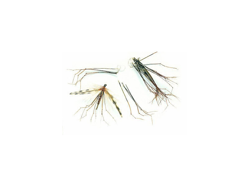 Daddy legs