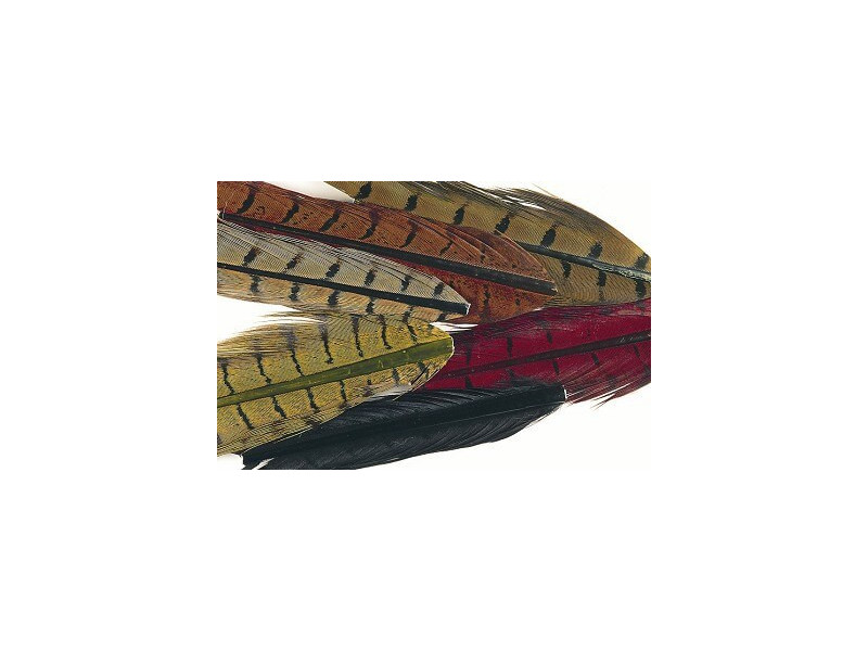 Fasantupp Stjärtfjäder 6 färger