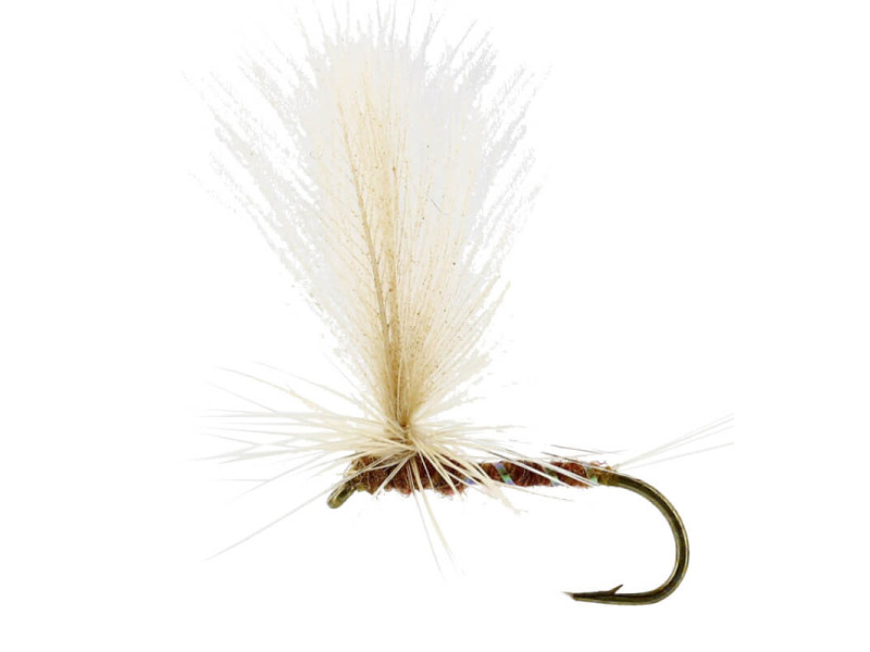 Aurivilli Flash Dun Ginger