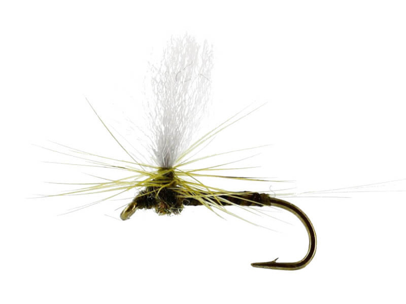 Baetis Dun Quill Olive