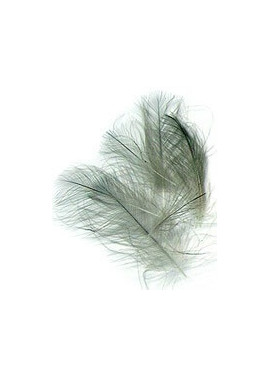 CDC Big Pack
