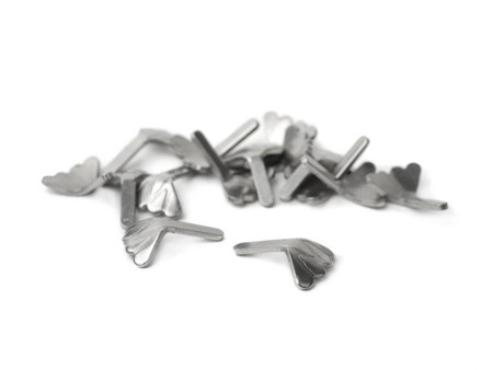 Fisch skull Shrimp & Cray Tail - Silver