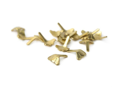 Fisch skull Shrimp & Cray Tail - Gold