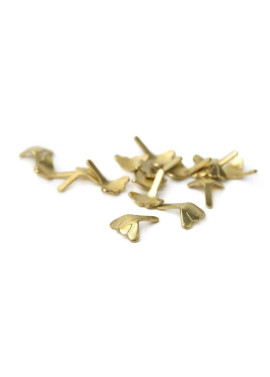 Fisch skull Shrimp & Cray Tail - Gold