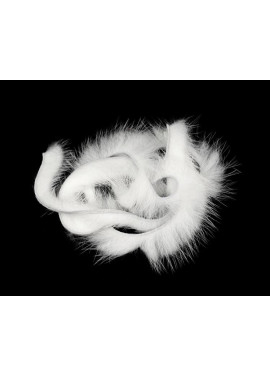 Zonkers Mink - White
