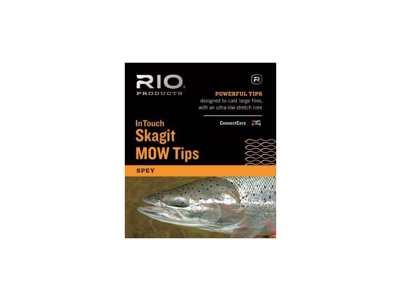Rio InTouch Move
