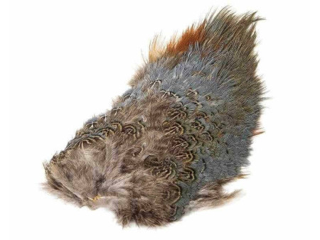 Ringneck Rump Patch