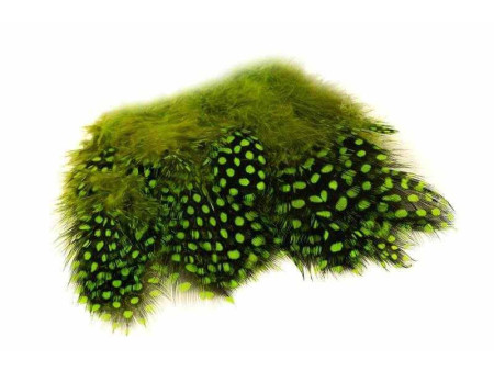 Strung Pärlhöna hackel Premium - Chartreuse