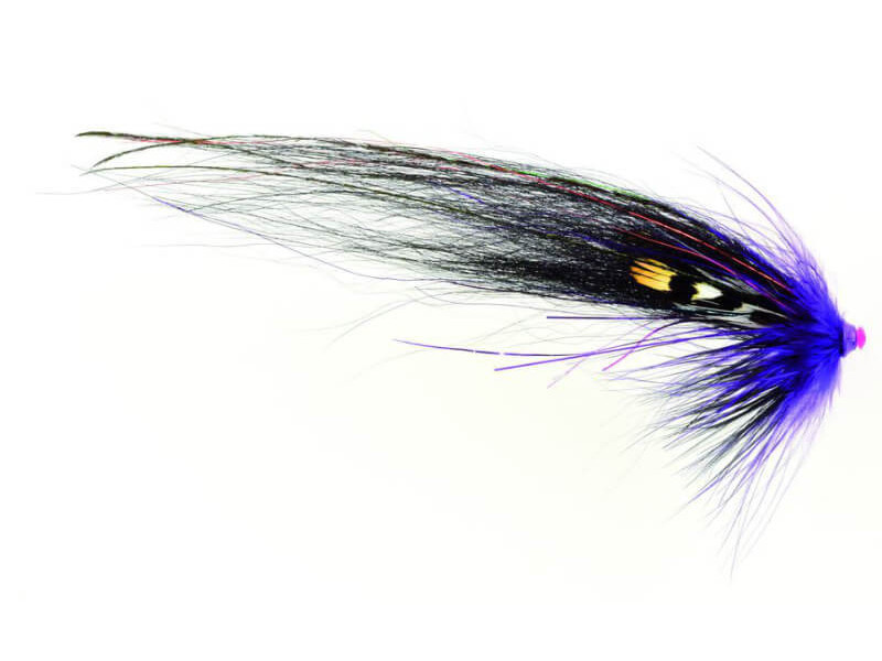 Mikkeli TTT Nobody Series