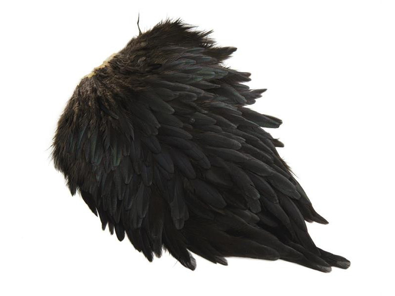 Whiting Hen Saddle - Black