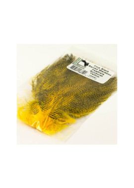 Fine Black Barred Marabou