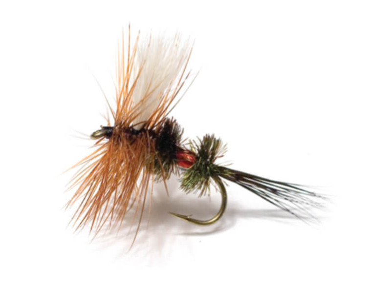 Royal Wulff Brown