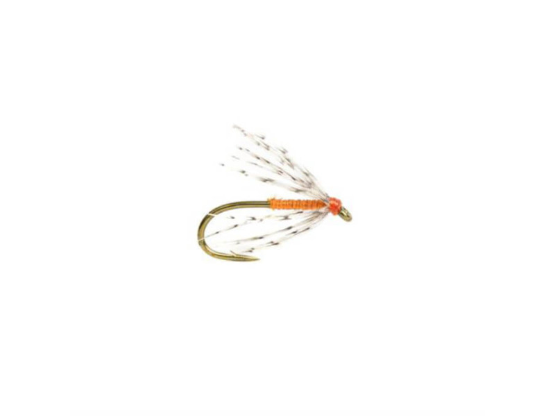 Partridge & Orange