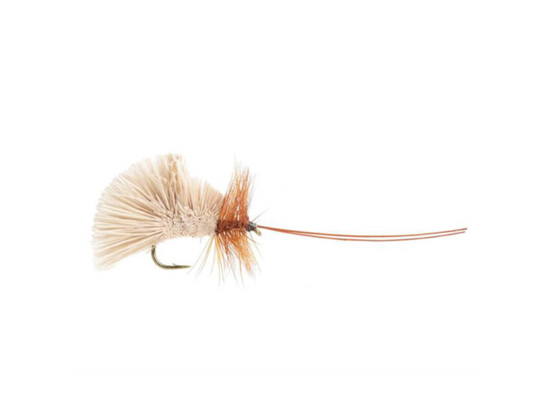 Goddards Caddis Öring