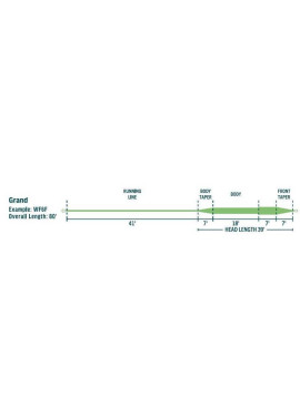 Rio Avid Grand - Taper