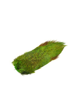 Nature's Spirits Ringneck Pheasant Rump Patch - FL. Chart./Insect green (UV)