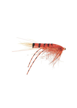 G.P Special Micro Series