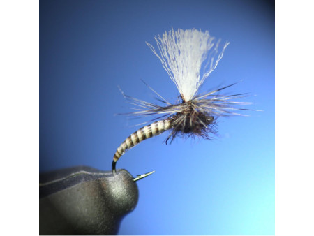 Partridge 15BN Klinkhamer
