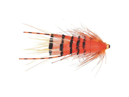 G.P Special Micro Series